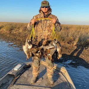 Meet your Posher, Branden